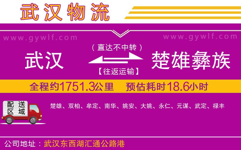 武漢到楚雄彝族自治州物流公司