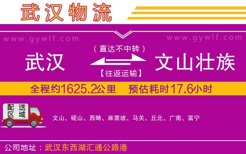 武漢到文山壯族苗族自治州物流公司