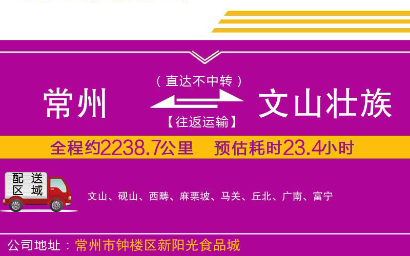 常州到文山壯族苗族自治州物流公司