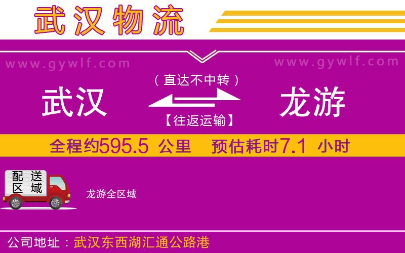 武漢到龍游貨運(yùn)公司