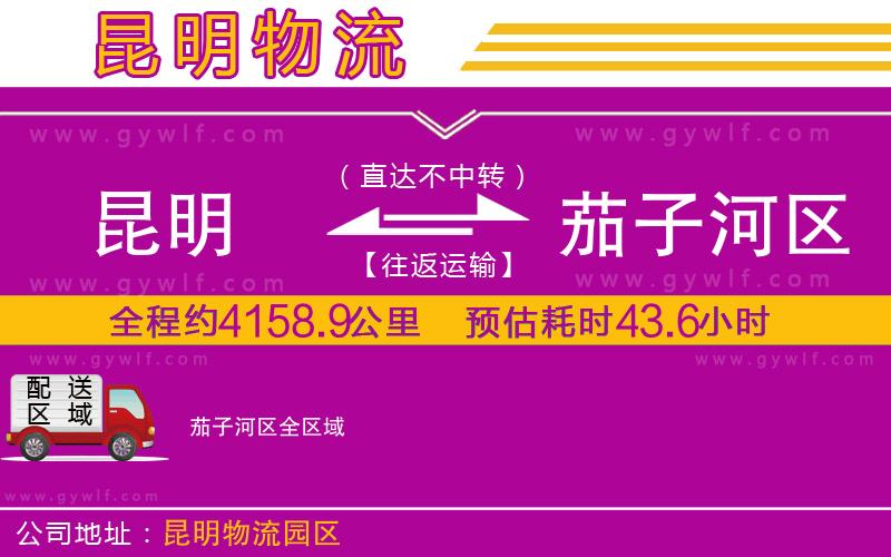 昆明到茄子河區(qū)物流公司