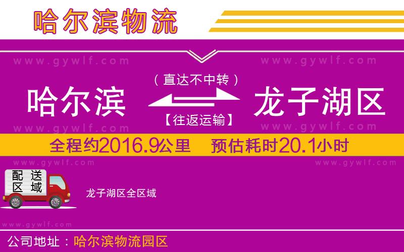 哈爾濱到龍子湖區(qū)物流公司