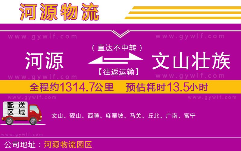 河源到文山壯族苗族自治州物流公司