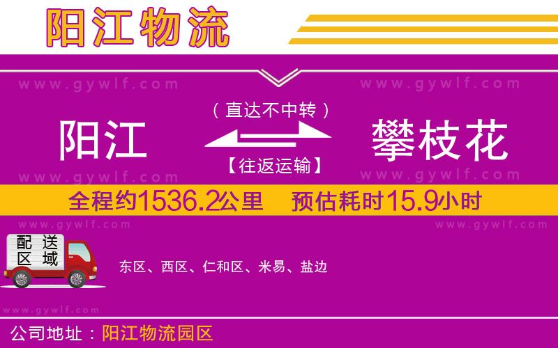 陽(yáng)江到攀枝花物流公司