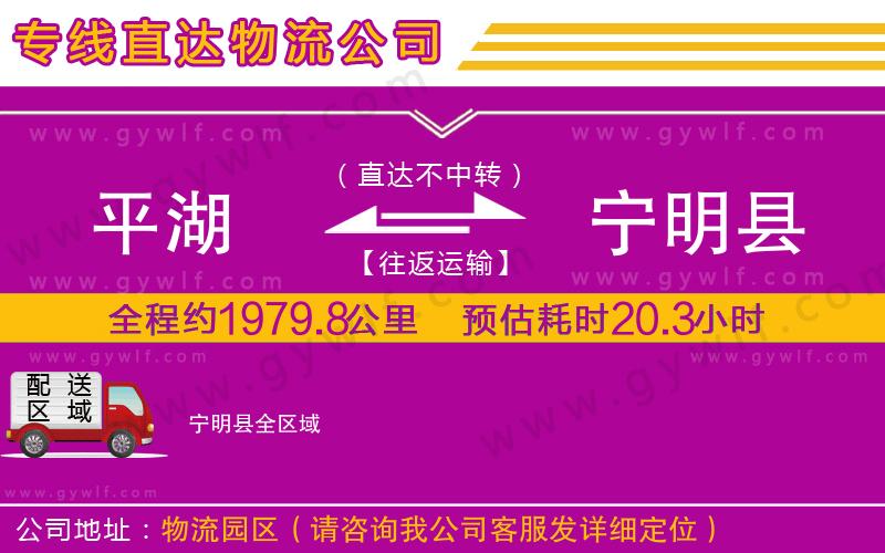 平湖到寧明縣物流公司