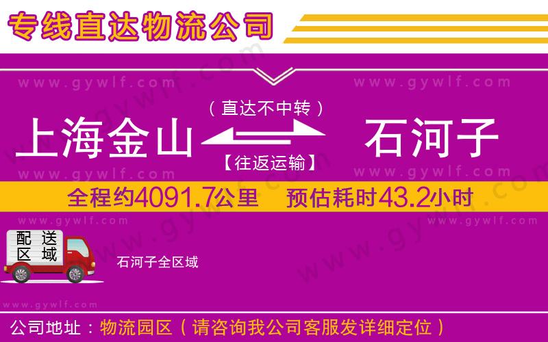 上海金山區(qū)到石河子物流公司