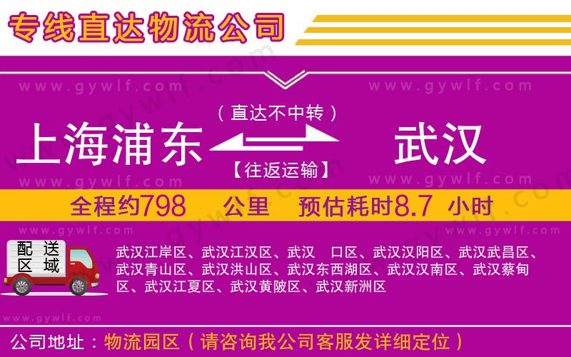 上海浦東區(qū)到武漢物流公司
