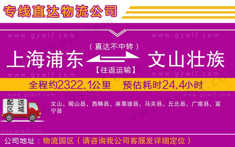上海浦東區(qū)到文山壯族苗族自治州物流公司