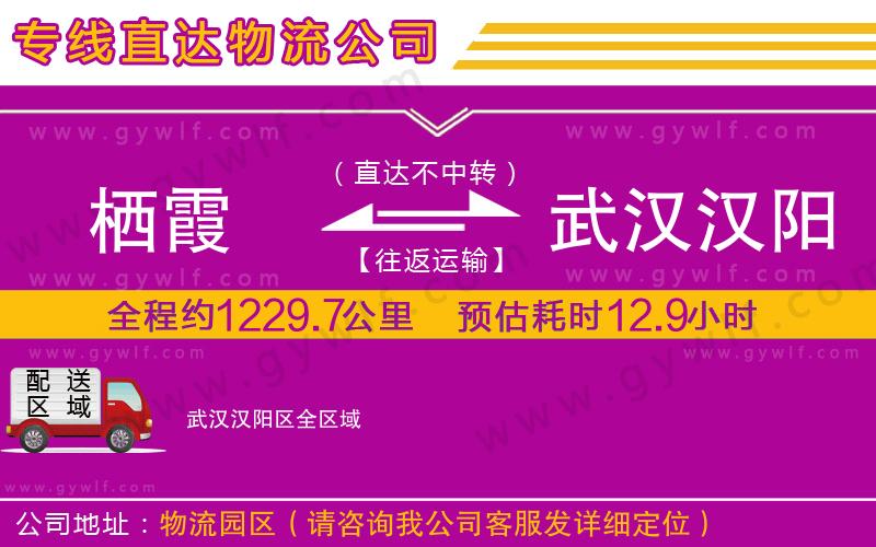 棲霞到武漢漢陽(yáng)區(qū)物流公司
