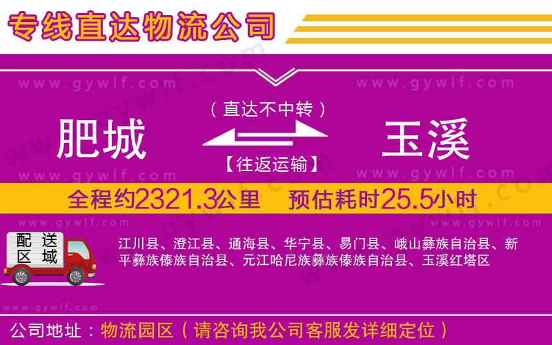 肥城到玉溪物流公司