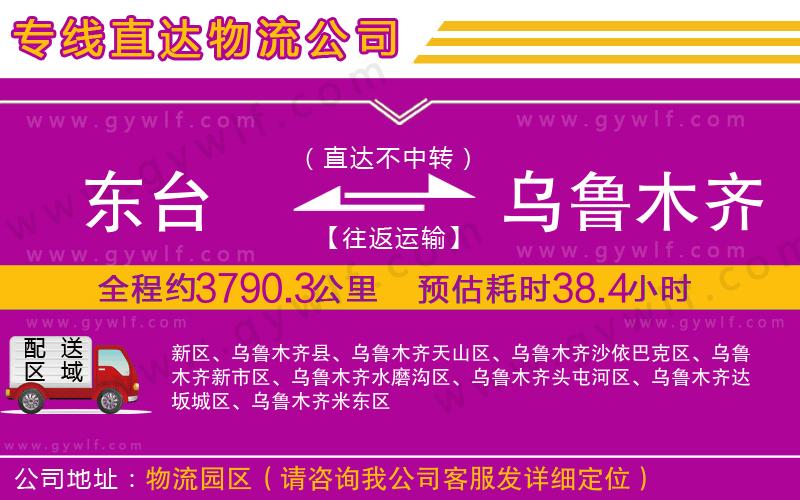 東臺(tái)到烏魯木齊物流公司