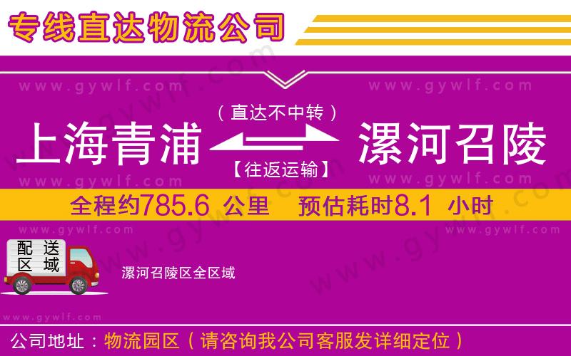上海青浦區(qū)到漯河召陵區(qū)物流公司