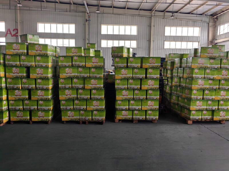 呼和浩特到巧家物流專(zhuān)線(xiàn)